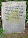 image of grave number 73634